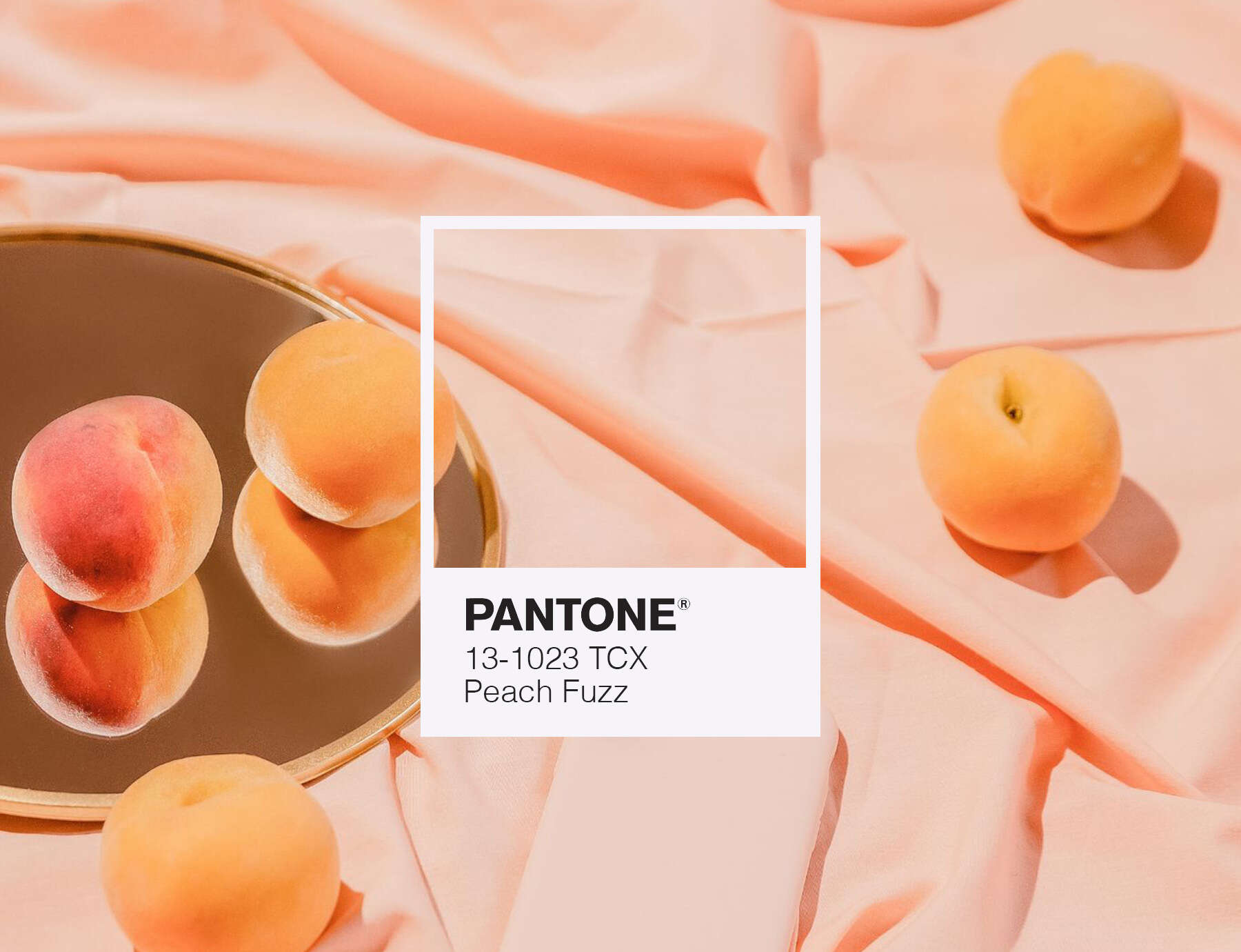 Ý nghĩa màu của năm - màu 13-1023 Peach Fuzz