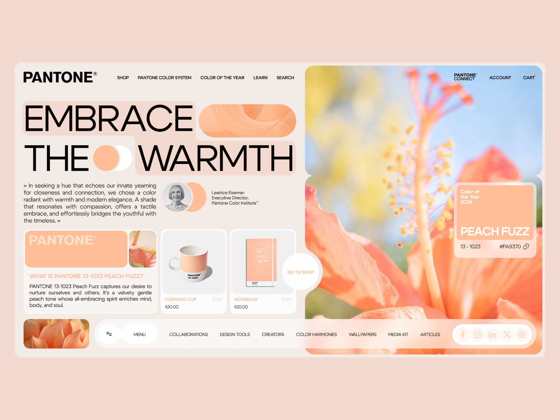 Ứng dụng màu Peach Fuzz vào ngành thiết kế website, đồ hoạ và quảng cáo. Nguồn: Anastasia Larina (Dribbble)